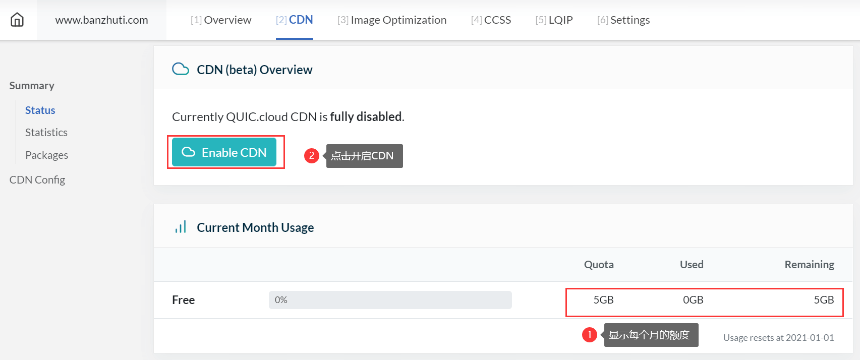 OpenLiteSpeed设置QUIC.Cloud免费CDN对WordPress进行网站加速插图7